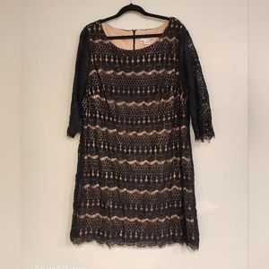 Jessica H Lace Black dress